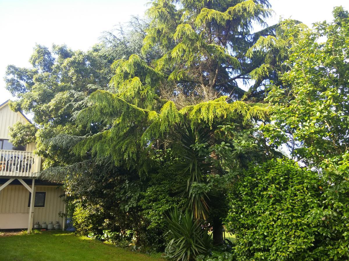 Hamilton Golf Lodge Exterior foto